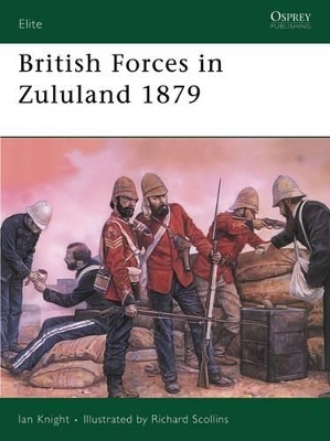 British Forces in Zululand, 1879 book