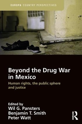 Beyond the Drug War in Mexico book