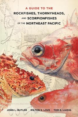 Guide to the Rockfishes, Thornyheads, and Scorpionfishes of the Northeast Pacific book