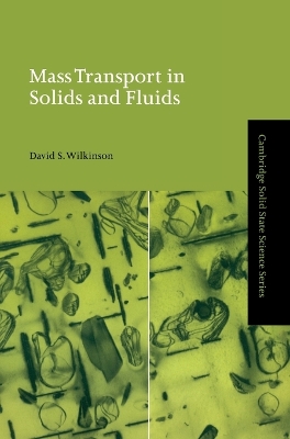 Mass Transport in Solids and Fluids by David S. Wilkinson