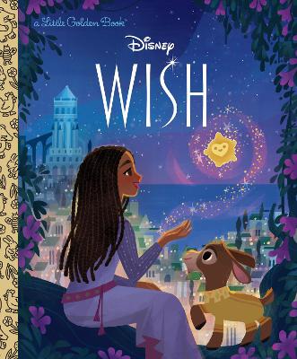 Disney Wish Little Golden Book book