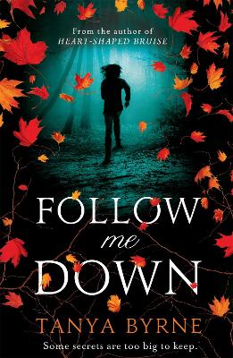 Follow Me Down book