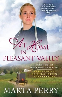 At Home in Pleasant Valley book