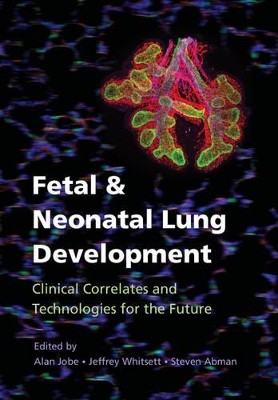 Fetal and Neonatal Lung Development book