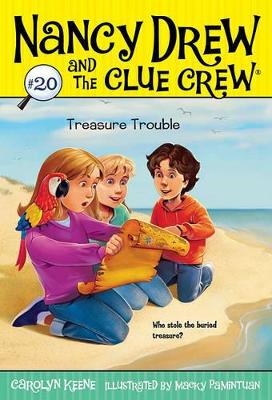 Treasure Trouble book