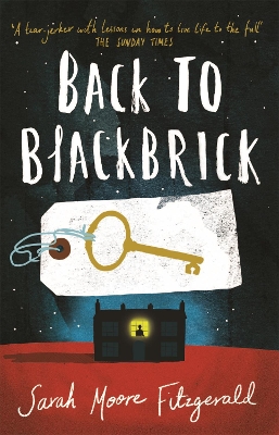 Back to Blackbrick book