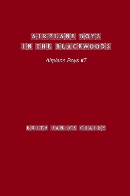 Airplane Boys in the Blackwoods book