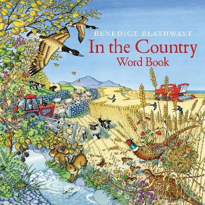 In the Country: Word Book by Benedict Blathwayt