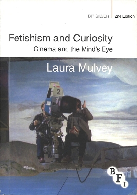 Fetishism and Curiosity book