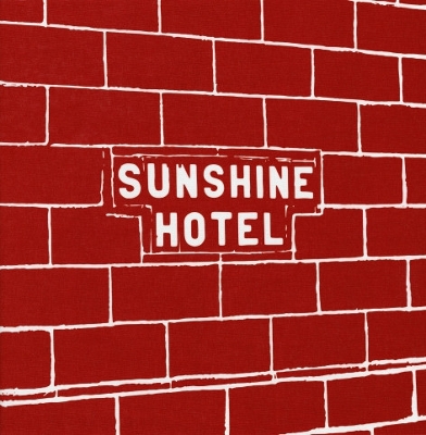 Mitch Epstein: Sunshine Hotel book