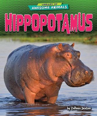 Hippopotamus by Colleen Sexton