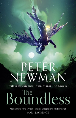The Boundless (The Deathless Trilogy, Book 3) by Peter Newman