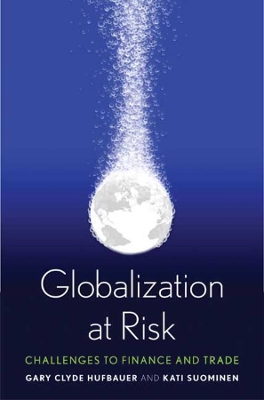 Globalization at Risk book