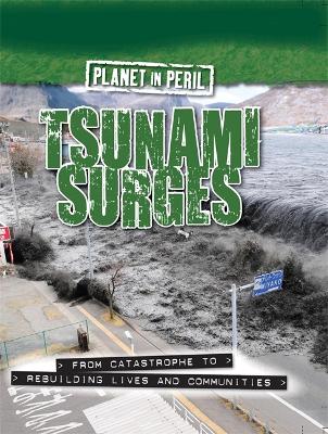 Planet in Peril: Tsunami Surges book