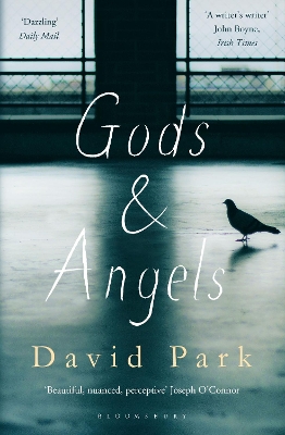 Gods and Angels book