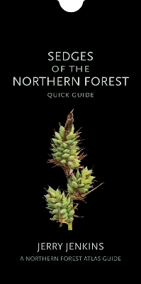 Sedges of the Northern Forest: Quick Guide book