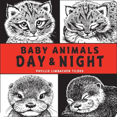 Baby Animals Day & Night book