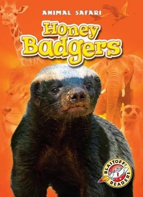 Honey Badgers book