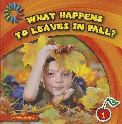 What Happens to Leaves in Fall? book