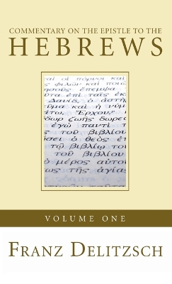 Commentary on the Epistle to the Hebrews, Volume 1 book