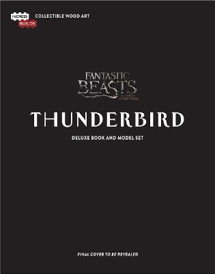 Incredibuilds: Thunderbird Deluxe Book and Model Set book