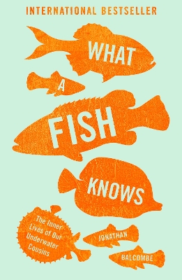 What a Fish Knows book