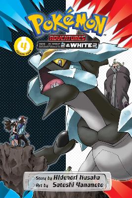 Pokémon Adventures: Black 2 & White 2, Vol. 4 book