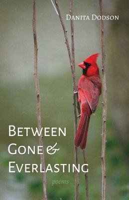 Between Gone and Everlasting: Poems book