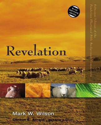 Revelation book