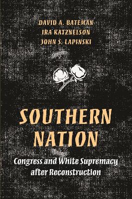 Southern Nation: Congress and White Supremacy after Reconstruction book