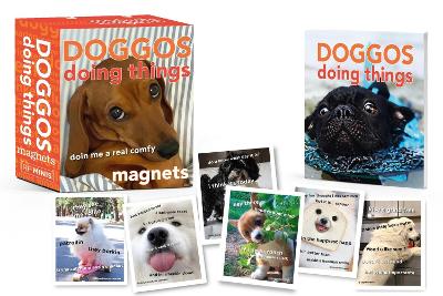 Doggos Doing Things Magnets book
