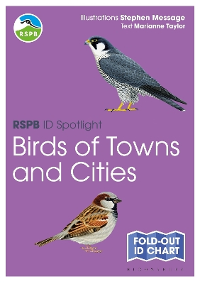 RSPB ID Spotlight - Birds of Towns and Cities book