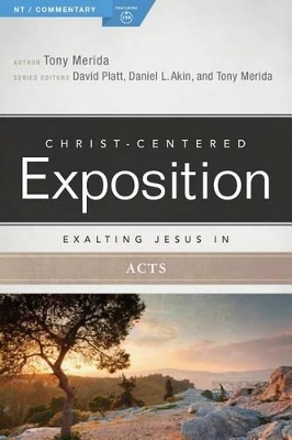 Exalting Jesus in Acts book