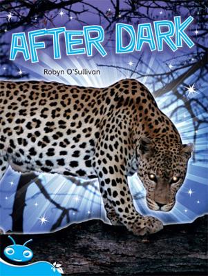 Bug Club Level 18 - Turquoise: After Dark (Reading Level 18/F&P Level J) book