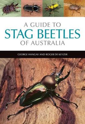 A A Guide to Stag Beetles of Australia by George Hangay