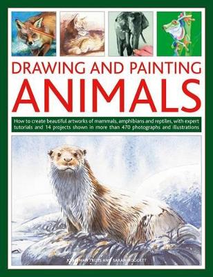 Drawing and Painting Animals book