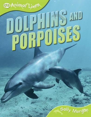 Dolphins and Porpoises by Sally Morgan