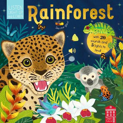 Sounds of the Rainforest book