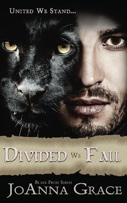 Divided We Fall book