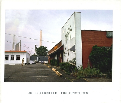 Joel Sternfeld: First Pictures book