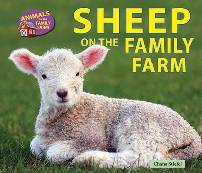 Sheep on the Family Farm by Chana Stiefel