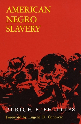 American Negro Slavery book