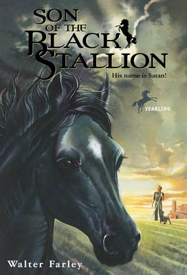 Son of the Black Stallion book