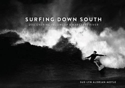 Surfing Down South book