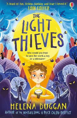 The Light Thieves book