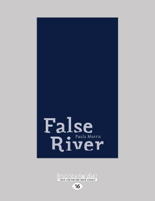False River: Stories \ Essays \ Secret Histories by Paula Morris