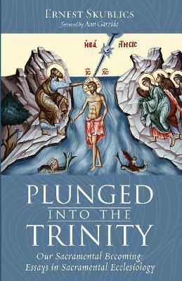 Plunged into the Trinity book