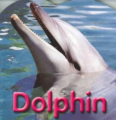Dolphin book