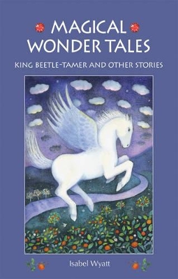 Magical Wonder Tales book