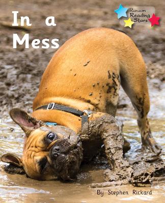 In a Mess: Phonics Phase 2 book